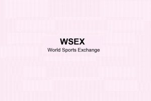 Обзор букмекера WSEX