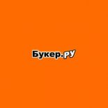 Обзор букмекера Buker